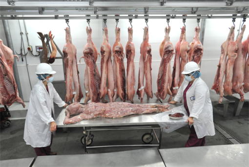 Di Cosa Sa La Carne Umana