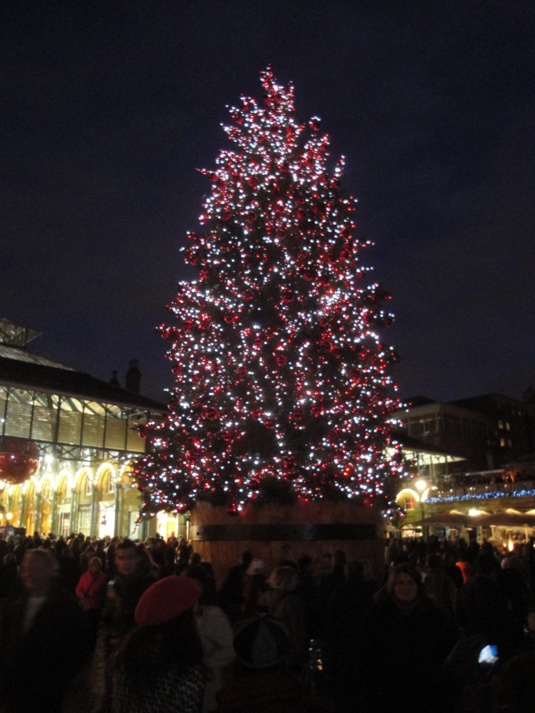 albero